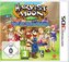 Harvest Moon: Dorf des Himmelsbaumes