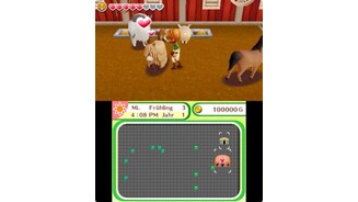Harvest Moon: Dorf des Himmelsbaumes
