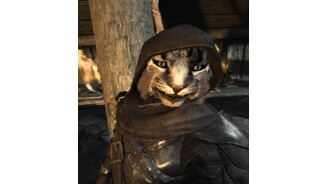 Skyrim VR
