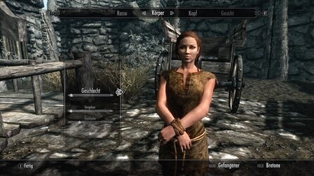 The Elder Scrolls 5: Skyrim - Die Rassen im Spiel und ihre Stärken