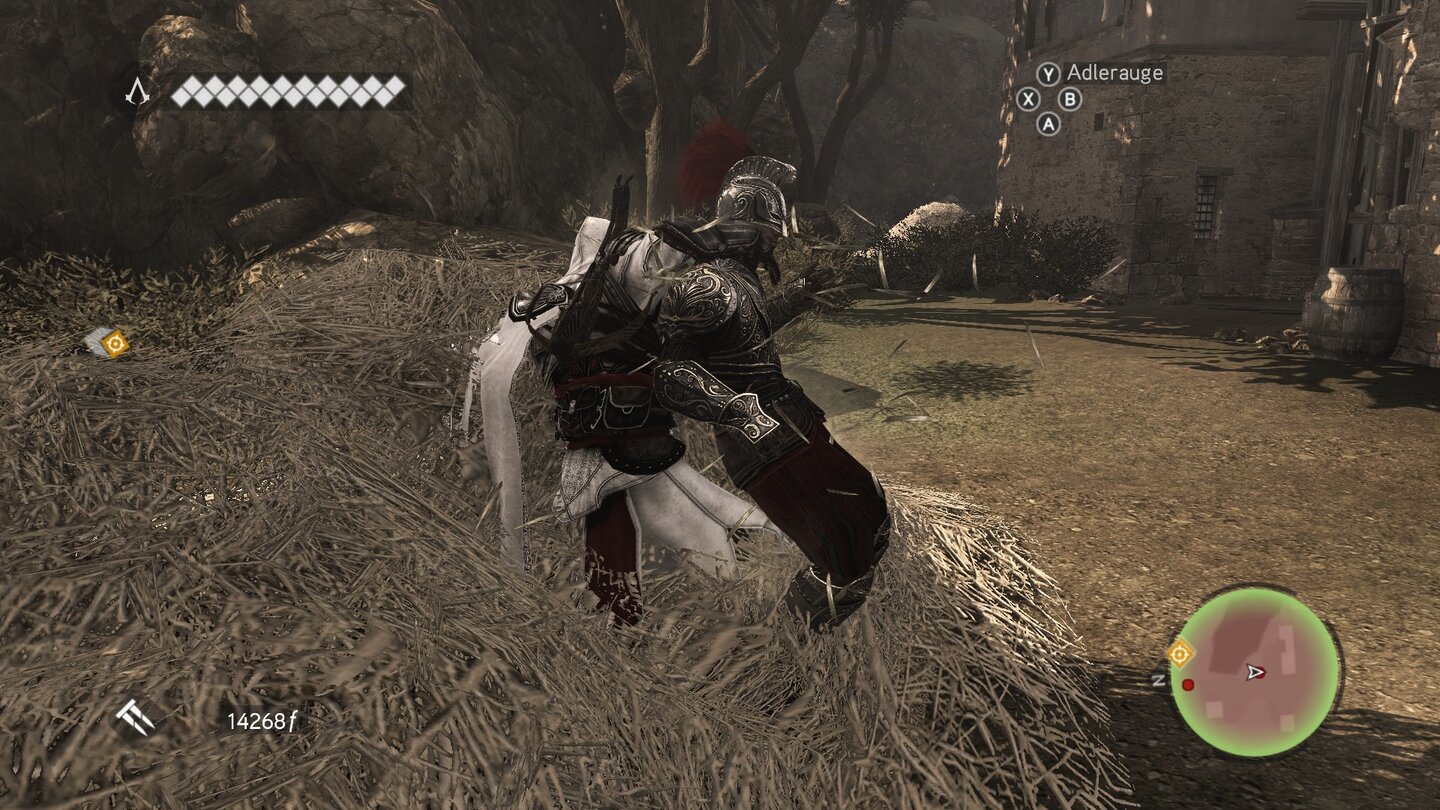 Assassins Creed: Brotherhood