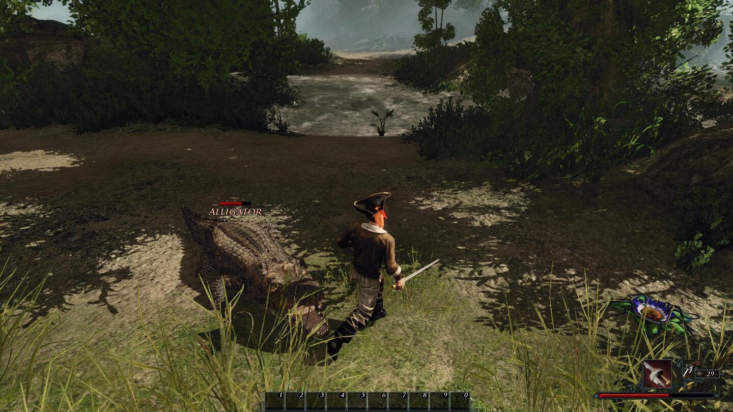 AlligatorAlligatoren sind in Risen 2: Dark Waters ein relativ starker Gegner. Am besten wendet man bei ihnen die Hit-and-Run-Strategie an, flieht also nachdem man angegriffen hat und bevor sie sich wehren können, um dann wieder anzugreifen.