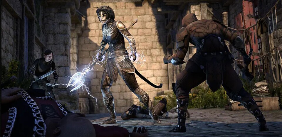 Die wilde Khajiit-Magierin Funke muss erst euer Vertrauen gewinnen.
